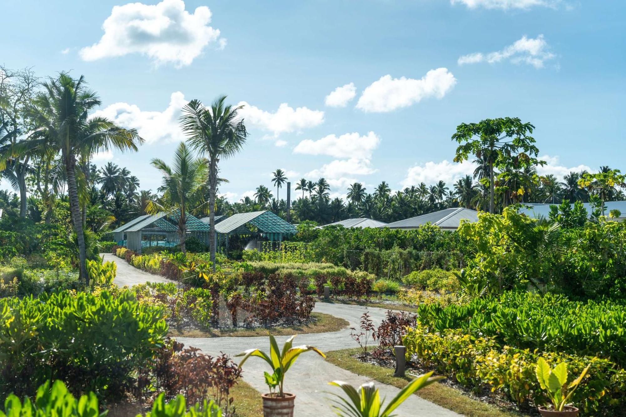 Waldorf Astoria Seychelles Platte Island Hotell Eksteriør bilde